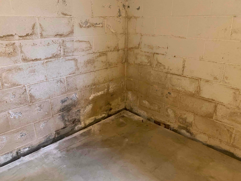 If your basement looks like this, you need to call us.